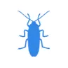 Уничтожение тараканов в Ромашково
